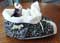 Leopard Ferret Shoe Bed