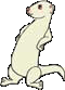 Ferret Paper Dolls Set 2